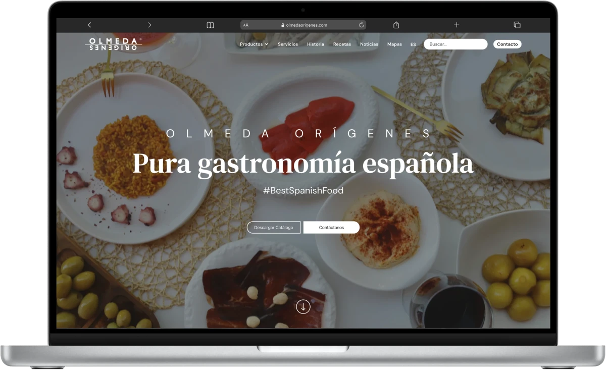 diseno web en madrid para empresas fenix byte