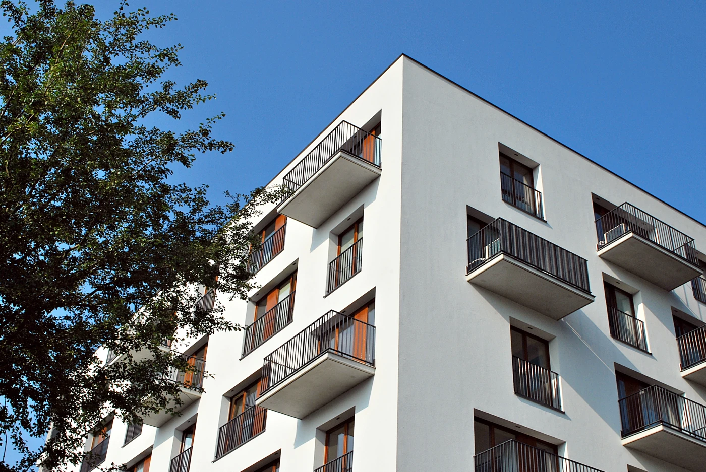 diseño web para inmobiliarias fenix byte