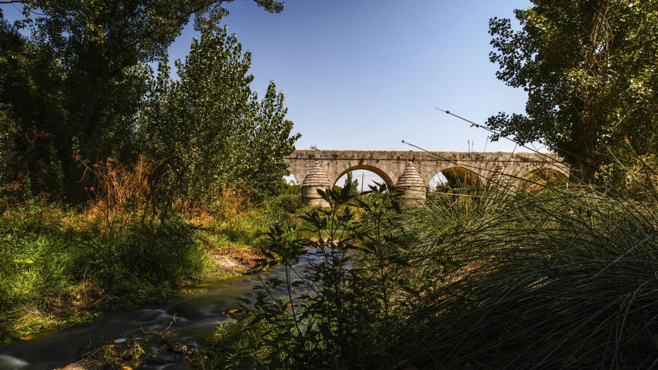 Diseno Web en Las Rozas